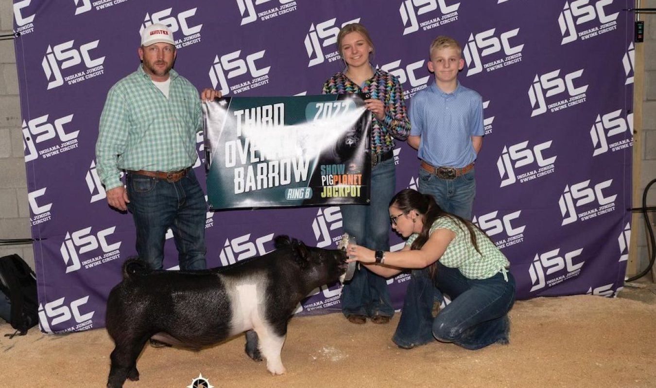 3rd Overall Barrow Ring B, Showpig Planet Jackpot