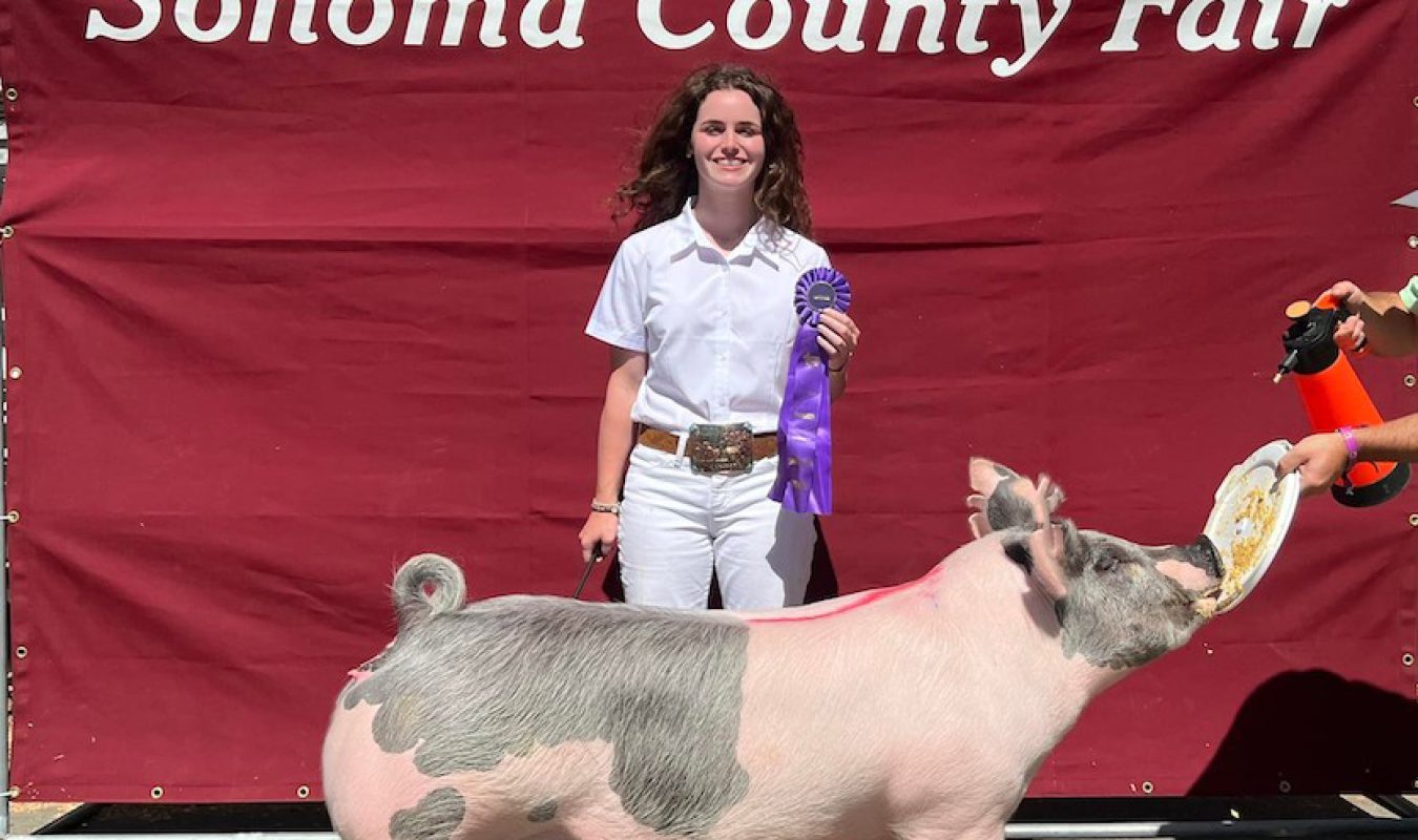 Champion Light Cross Sonoma County Fair