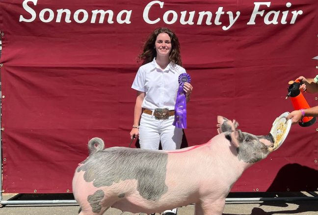 Champion Light Cross Sonoma County Fair