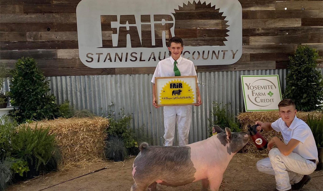 Champion 4-H Light Cross Stanislaus