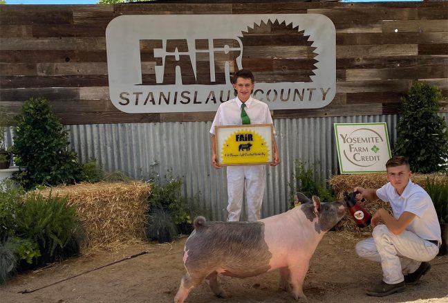 Champion 4-H Light Cross Stanislaus