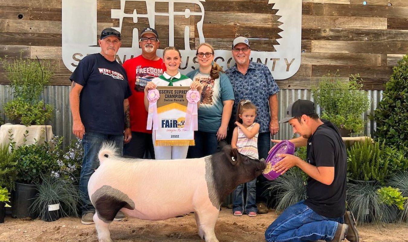 Reserve Grand Breeding Gilt Stanislaus County