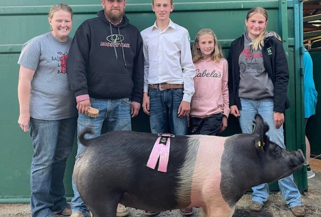 4th Overall Gilt Utah State