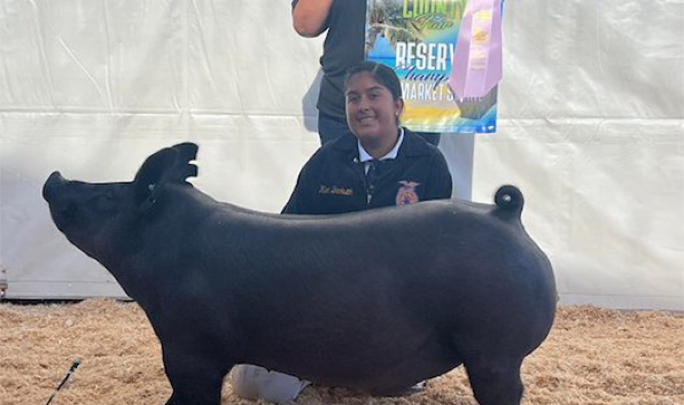 Reserve FFA Ventura County Fair