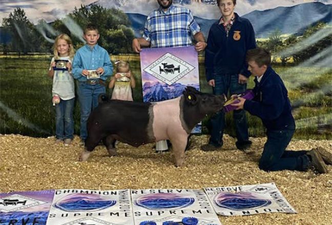 Grand Champion Wasatch County