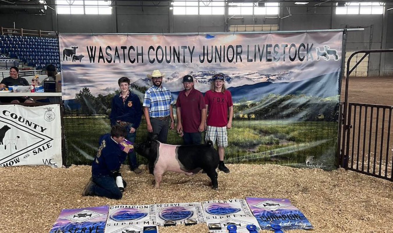 Reserve Grand Wasatch County Fair