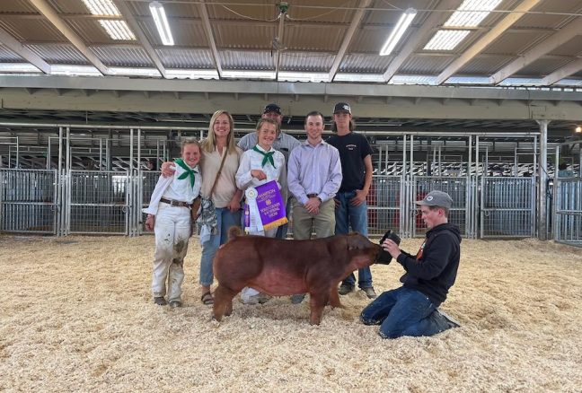 Champion Duroc Yolo County Spring Show