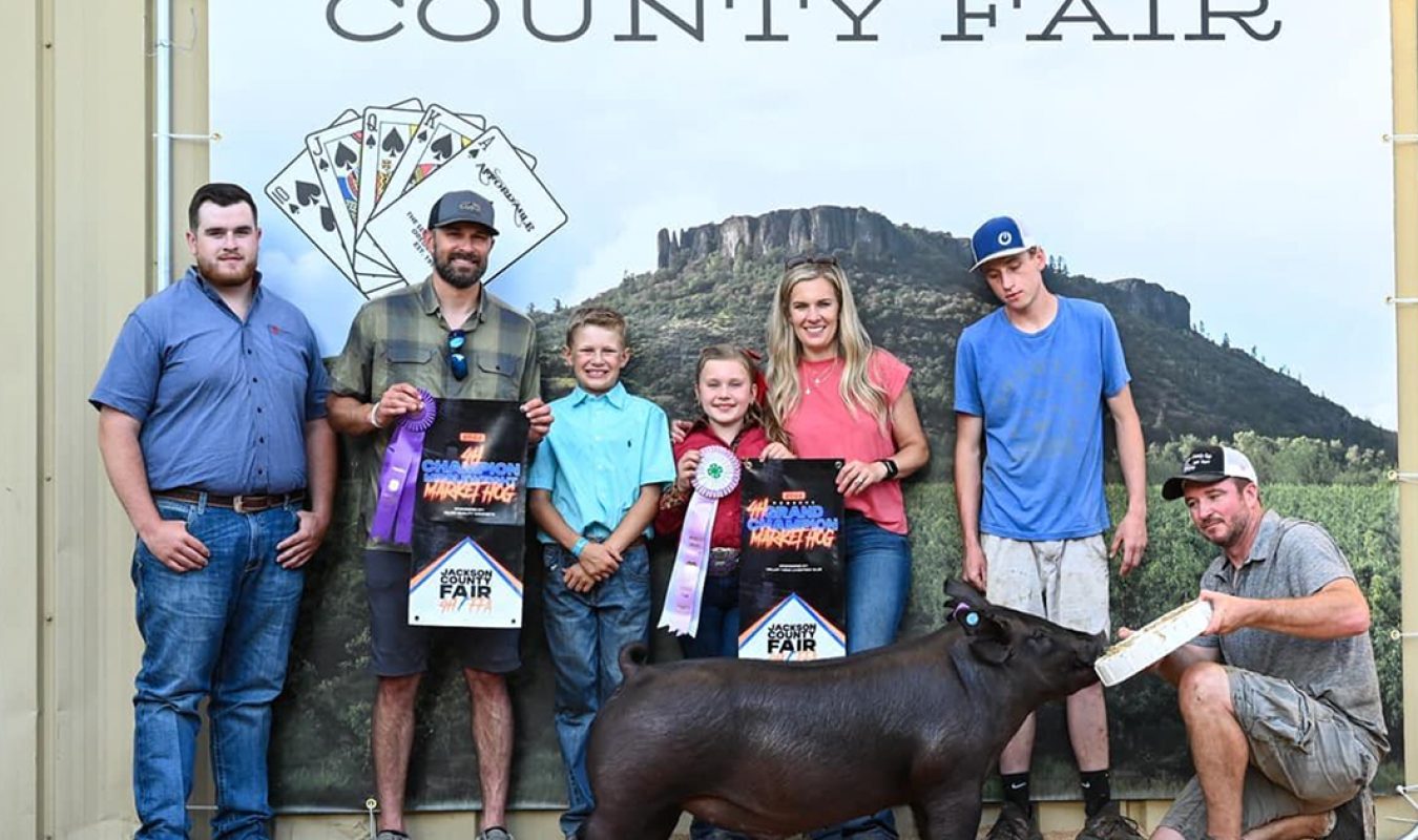 Reserve 4-H Market Hog Jackson County