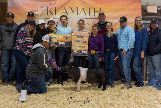 Champion Lightweight Klamath Basin Classic