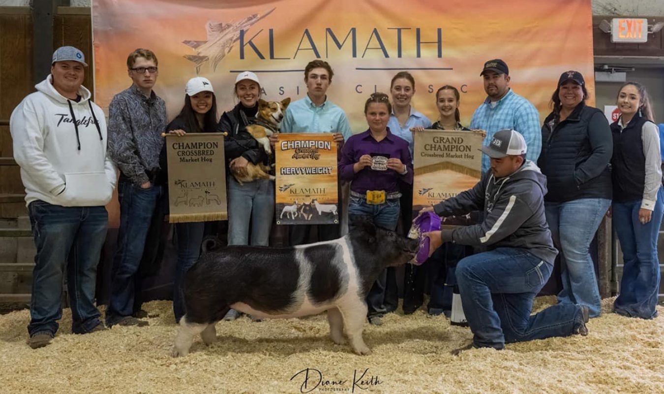 Supreme Champion Gilt Klamath Classic