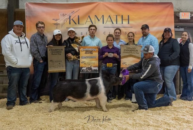 Supreme Champion Gilt Klamath Classic