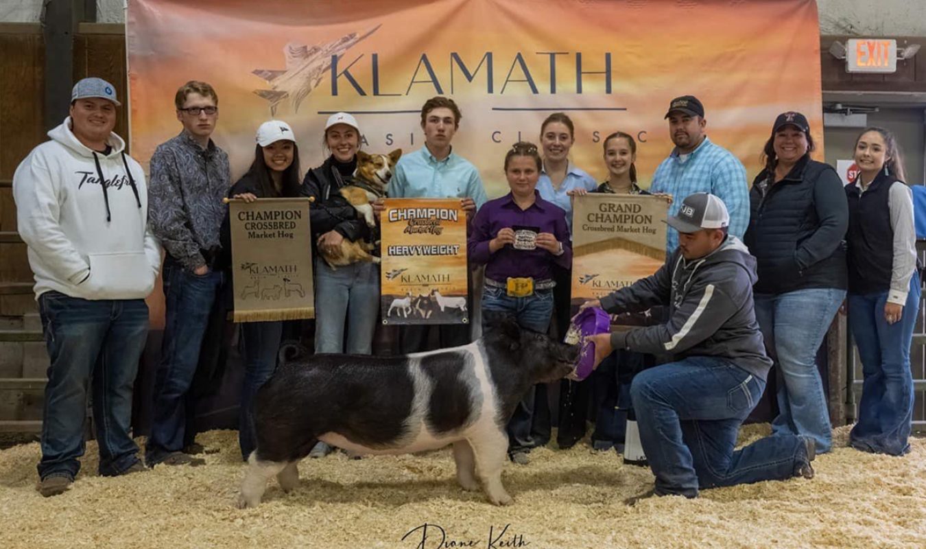 Supreme Market Hog Klamath Classic