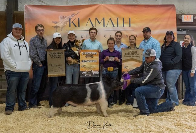 Supreme Market Hog Klamath Classic