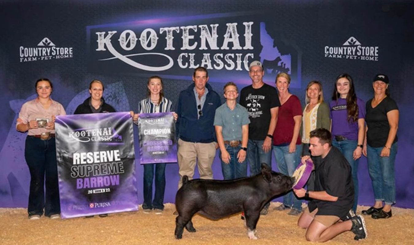 Reserve Supreme Barrow, Ring A, Kootenai Classic