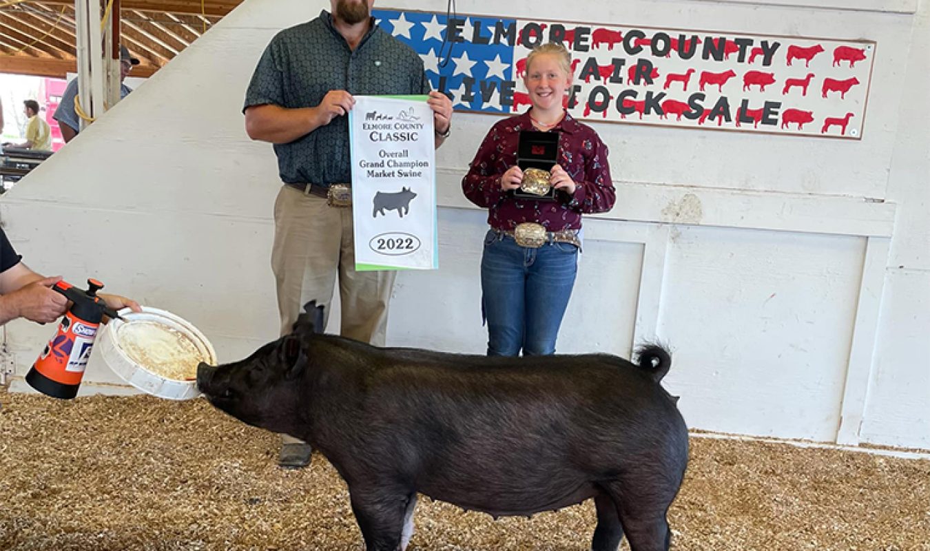 Reserve Overall Market hog Cassia Classic