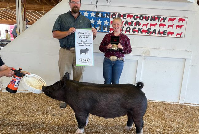 Reserve Overall Market hog Cassia Classic