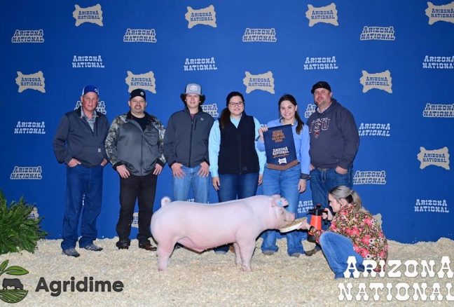 Arizona National Livestock Show Champion Chester Barrow