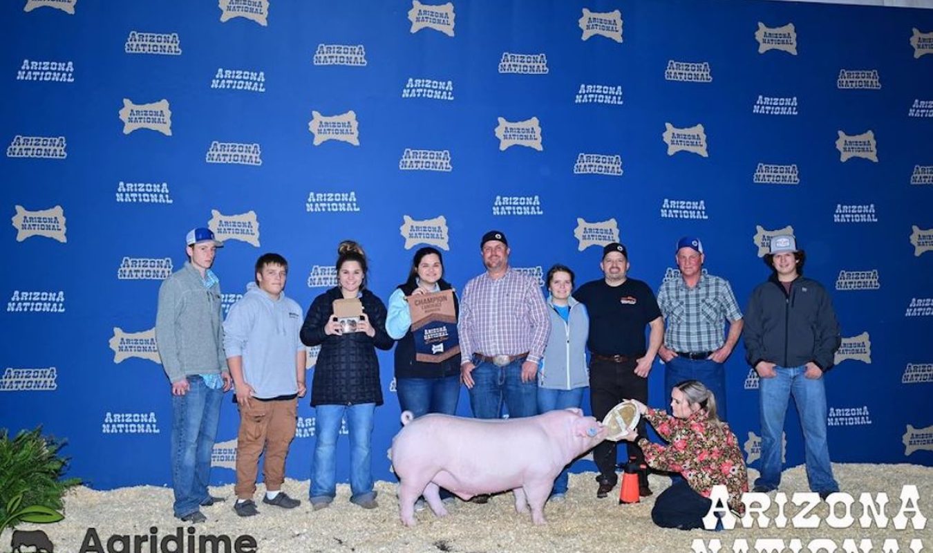 Arizona National Livestock Show Champion Landrace Barrow