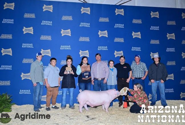 Arizona National Livestock Show Champion Landrace Barrow