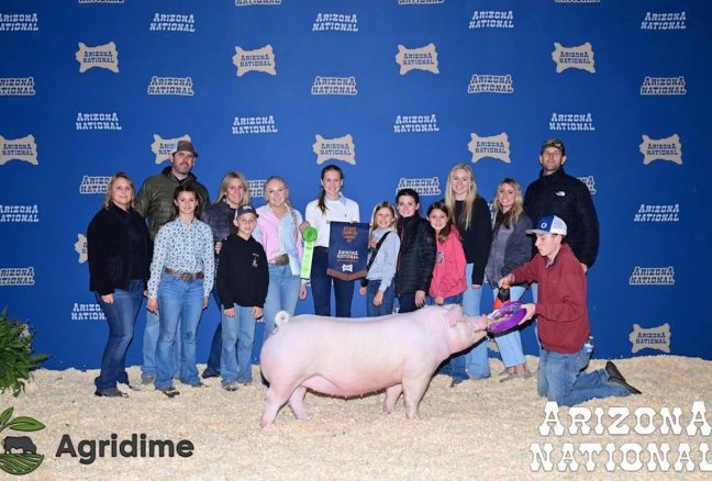 Arizona National Livestock Show Reserve Champion Landrace Gilt