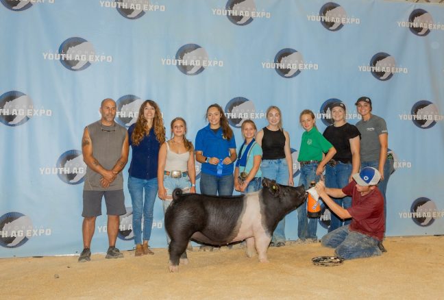 13th Overall Gilt, California Youth Ag Expo