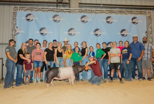 3rd Division 2 Cross Gilt, California Youth Ag Expo