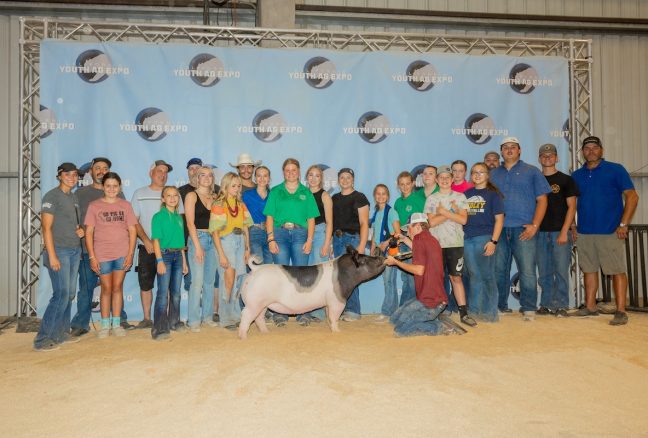 California Youth Ag Expo 4 th Overall Cross Gilt