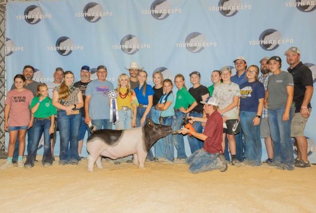 California Youth Ag Expo 5 th Overall Market Barrow Reserve Champion Dark Cross Barrow