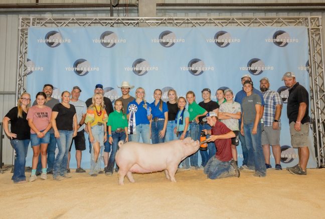 Champion Landrace/Chester Gilt, California Youth Ag Expo