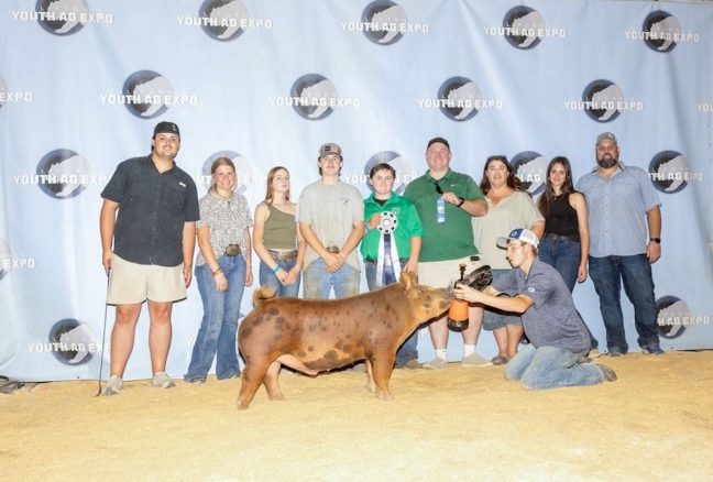 California Youth Ag Expo Champion Tamworth Barrow