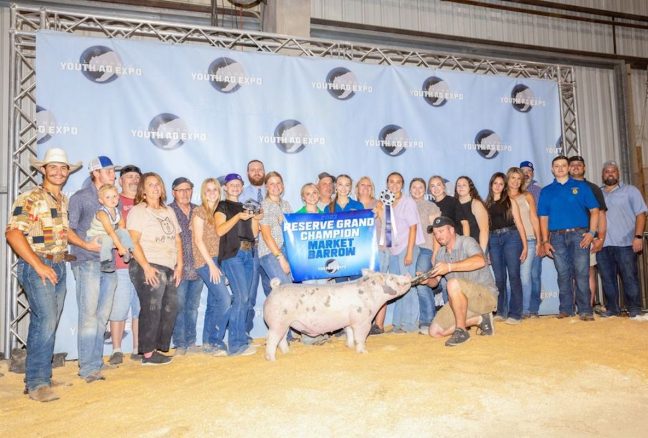 Reserve Grand Champion Barrow, Champion Light Cross Barrow, California Youth Ag Expo