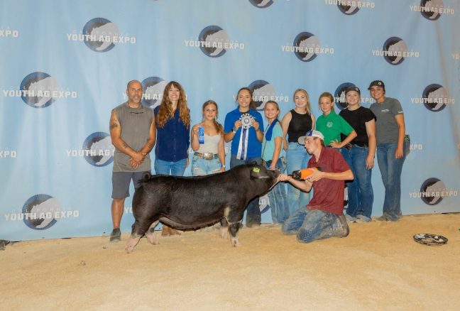 Reserve Champion Poland Gilt, California Youth Ag Expo