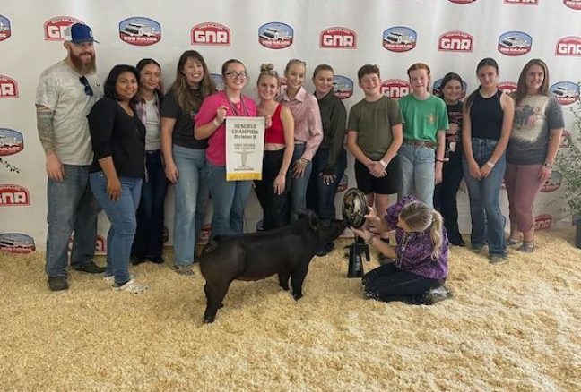 Reserve Champion All Black Gilt, Grand National Cow Palace