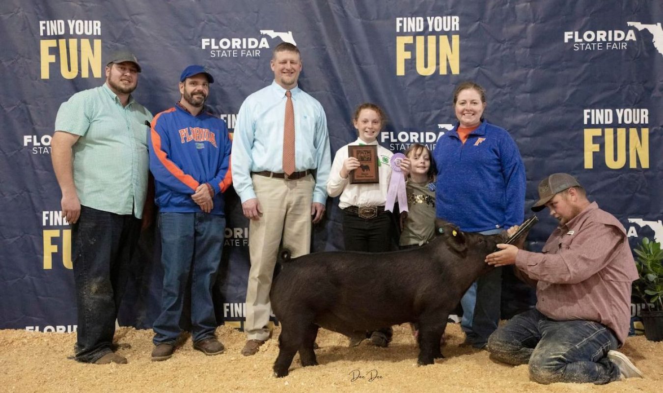 Reserve Champion Division 3 Market Hog , Florida State Fair