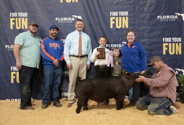 Reserve Champion Division 3 Market Hog , Florida State Fair