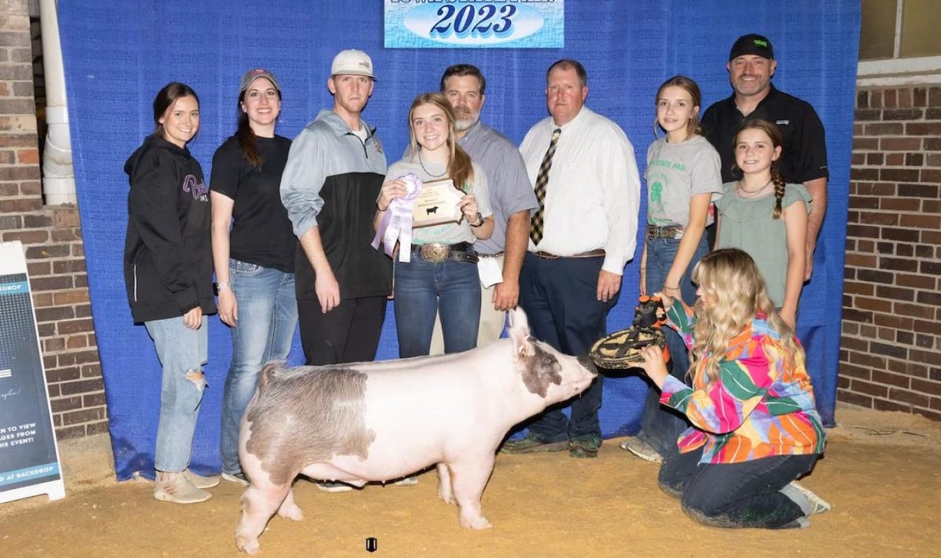 Reserve Champion Middleweight Cross Market Hog , Iowa State Fair 4-H Show