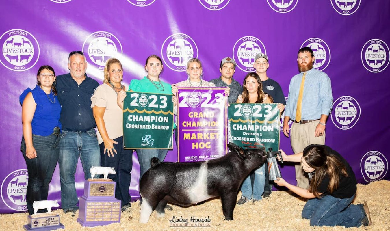 Grand Champion Market Barrow, Michigan Livestock Expo