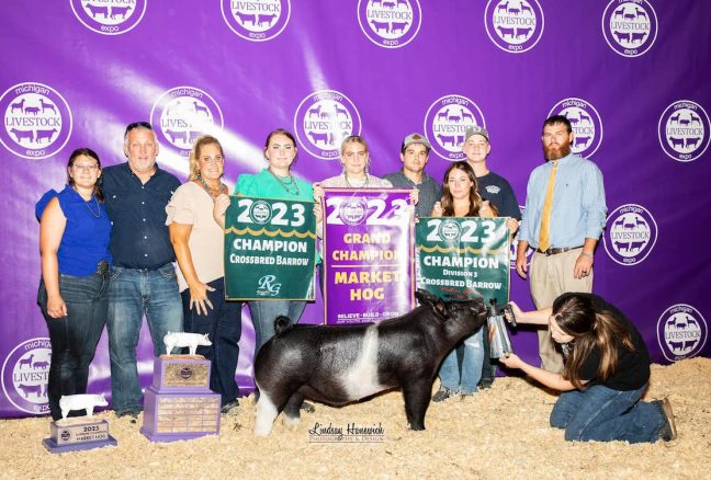 Grand Champion Market Barrow, Michigan Livestock Expo