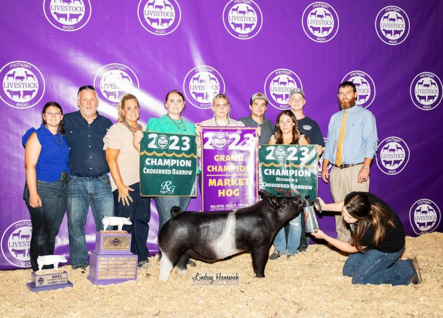 Grand Champion Market Barrow, Michigan Livestock Expo