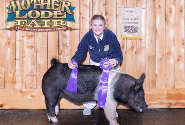 Mother Lode Fair Fair Grand CHampion Market Hog Emily Orpurt Cease & desist