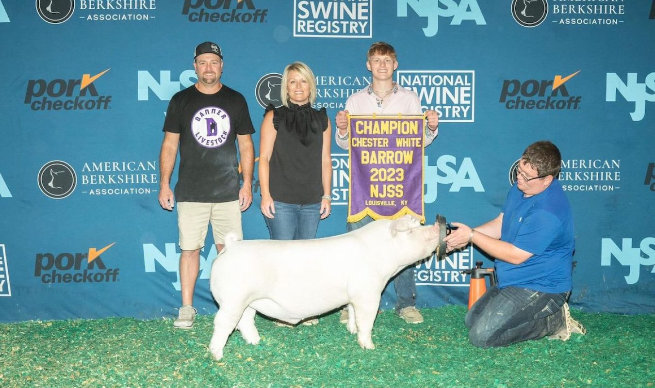 National Junior Summer Spectacular Champion Chester White Barrow