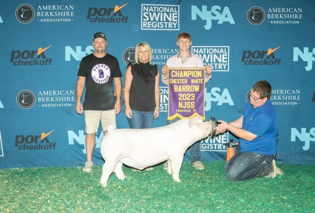 National Junior Summer Spectacular Champion Chester White Barrow