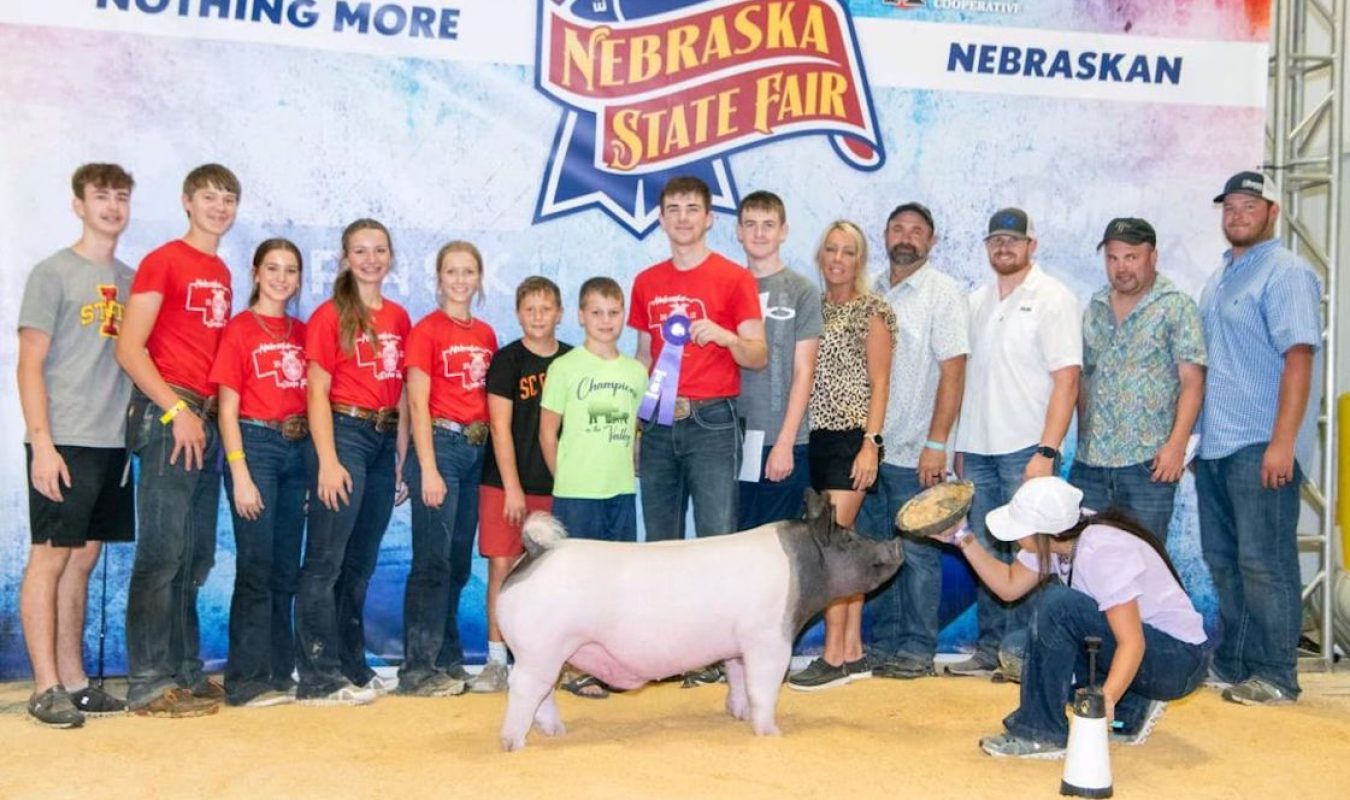 Champion Division 1 Cross Barrow, Nebraska State Fair FFA Show