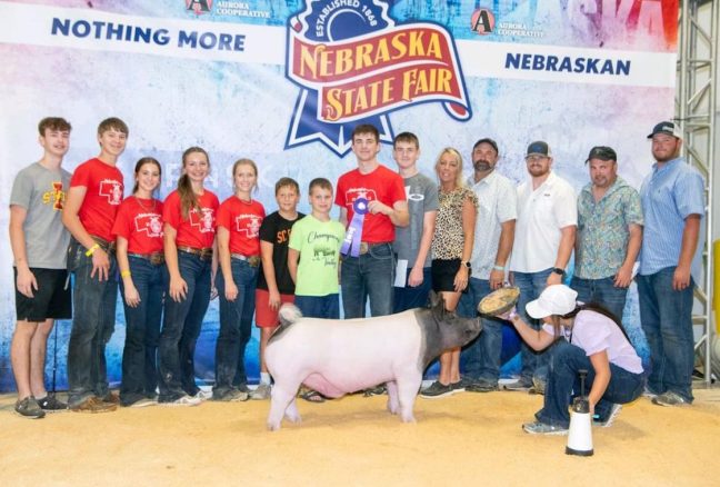 Champion Division 1 Cross Barrow, Nebraska State Fair FFA Show