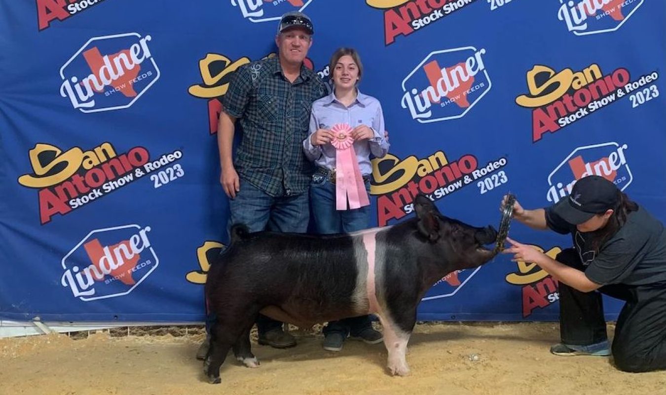 4th Place Dark Cross Barrow, San Antonio Livestock Show