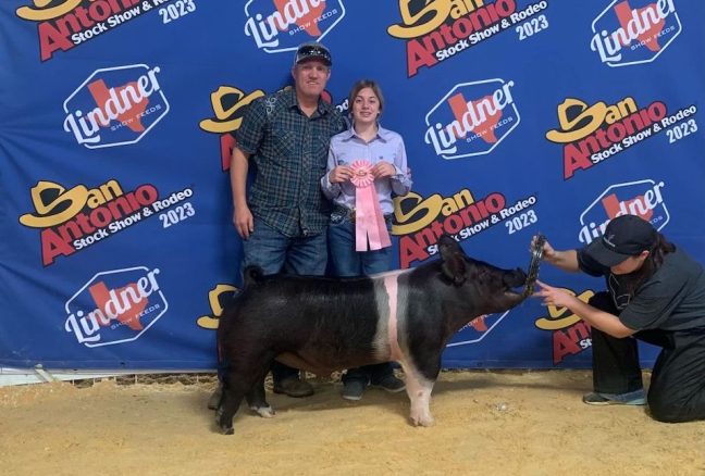 4th Place Dark Cross Barrow, San Antonio Livestock Show