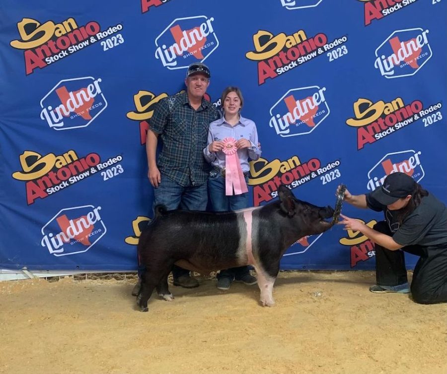 4th Place Dark Cross Barrow, San Antonio Livestock Show