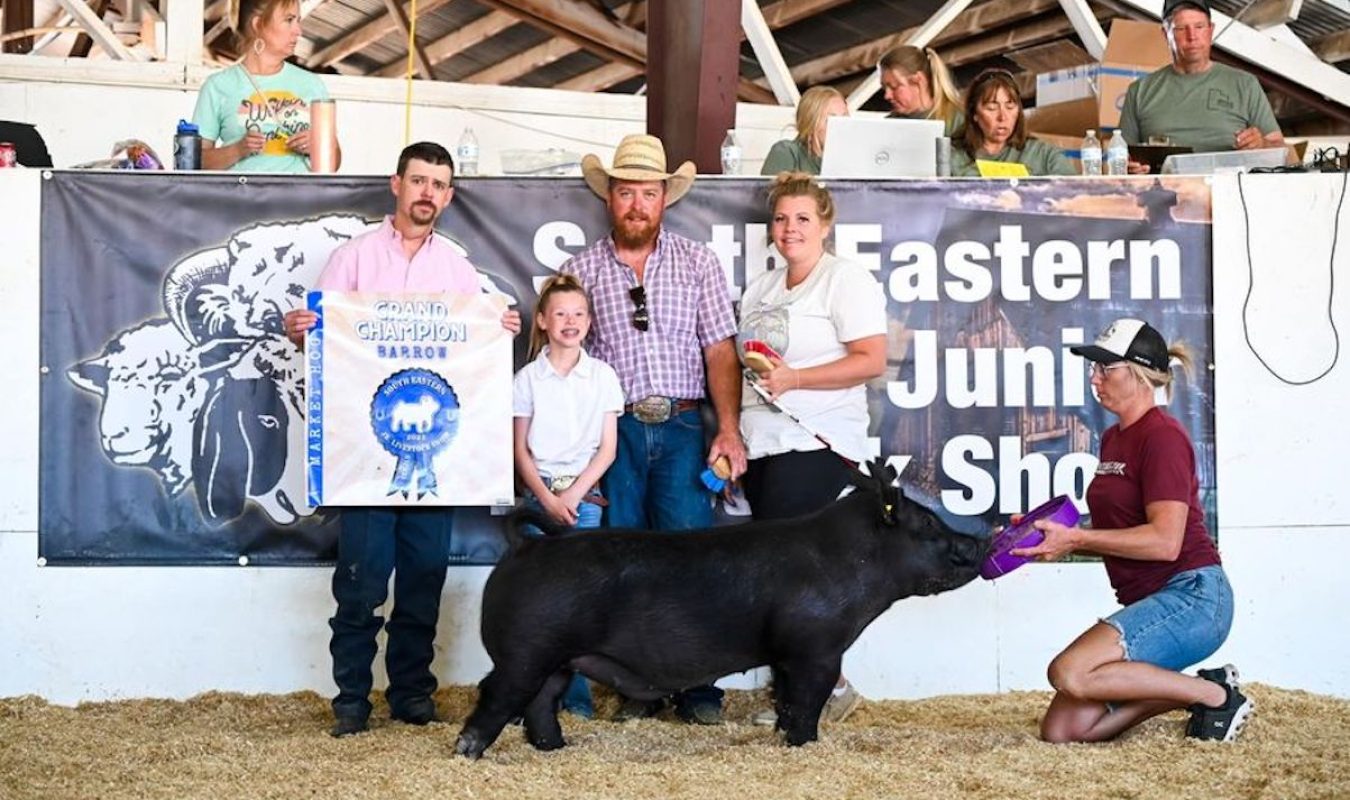 Grand Champion Market Hog , Southeastern Utah Junior Livestock Show