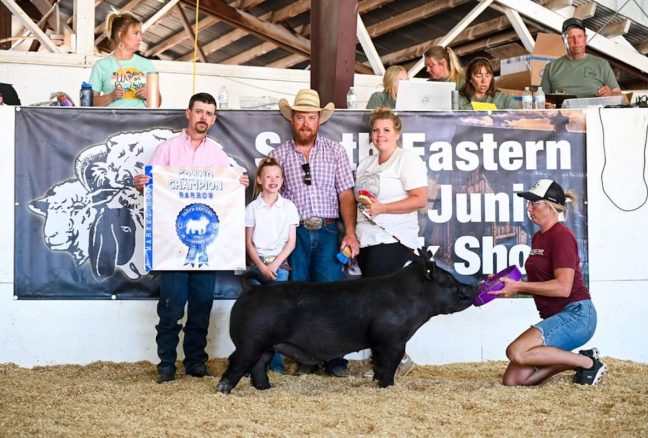 Grand Champion Market Hog , Southeastern Utah Junior Livestock Show