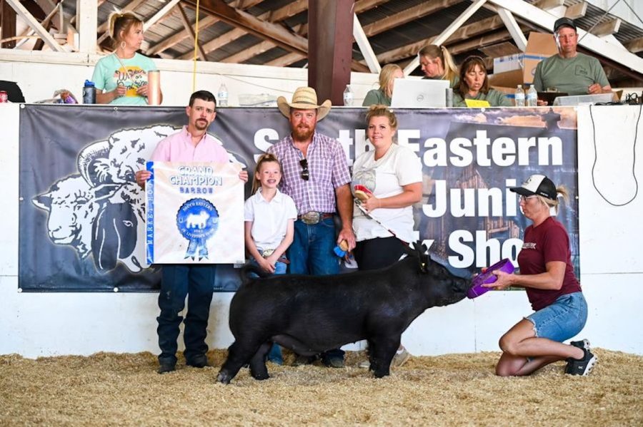 Grand Champion Market Hog , Southeastern Utah Junior Livestock Show